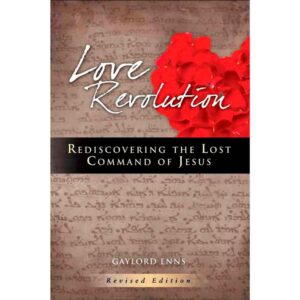 Book cover image for Love Revolution by Gaylord Enns